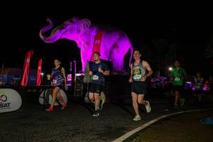 BIB: 
                            <button type="button" onclick="openModal(26534335)" class="btn btn-primary btn-sm float-right btn-popup" data-toggle="modal" data-target=".modal-high-quality">
                        <i class="fas fa-shopping-cart"></i> Add to Cart
                    </button>
                                            <button type="button" onclick="isThisMe(26534335, true)" class="btn btn-success btn-sm float-right btn-popup btn-isme hidden" data-toggle="tooltip" data-placement="bottom" title="นี่คือรูปของคุณใช่ไหม คลิกที่นี่เพื่อเอาเข้าอัลบั้ม">
                        <i class="fas fa-plus"></i> Add to album
                    </button>
                    <button type="button" onclick="isThisMe(26534335, false)" class="btn btn-warning btn-sm float-right btn-popup btn-isnotme hidden">
                        <i class="fas fa-ban"></i> Remove from album
                    </button>